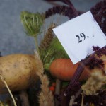 Zbliżenie na bukiet zielny zawierający zboża, ziemniaka i marchewkę. Bukiet ma przyczepioną kartkę z numerem konkursowym.