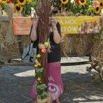 Kobieta chowa się za słupem zrobionym z gałęzi. Za nią widać wóz wypełniony kwiatami i zbożem, na którym zawieszono baner z napisem "Cudowna moc bukietów 15 sierpnia 2013 Kraków - Mały Rynek" i logiem Instytutu Dziedzictwa.