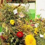 Bukiety zielne ustawione na podeście pod sceną. Bukiety zawierają m.in. żółte i czerwone kwiaty oraz zioła i zboża.