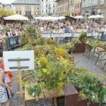 Zdjęcie zrobione ze sceny. Na pierwszym planie widać ułożone na ławach bukiety zielne. Za barierkami widać tłum ludzi zgromadzony podczas konkursu na Małym Rynku w Krakowie.