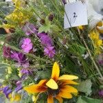 Zbliżenie na bukiet zielny zawierający fioletowe i żółte kwiaty oraz zioła. Ma przyczepioną kartkę z numerem konkursowym.