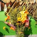 Zdjęcie bukietu zielnego zawierającego żółte i różowe kwiaty, zioła, zboża i buraka.