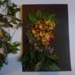 Obrazek stworzony przy pomocy suszonych liści i kwiatów w trakcie procesu tworzenia.